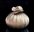 209064 2026 Urn bloem 800